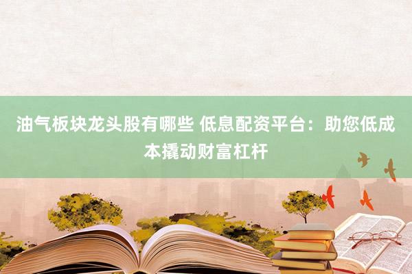 油气板块龙头股有哪些 低息配资平台：助您低成本撬动财富杠杆