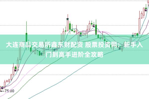 大连商品交易所鑫东财配资 股票投资网：新手入门到高手进阶全攻略