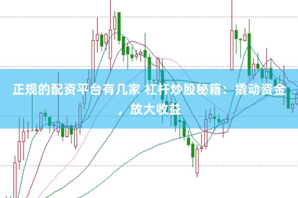 正规的配资平台有几家 杠杆炒股秘籍：撬动资金，放大收益