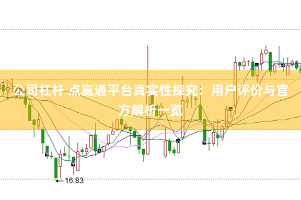 公司杠杆 点嬴通平台真实性探究：用户评价与官方解析一览