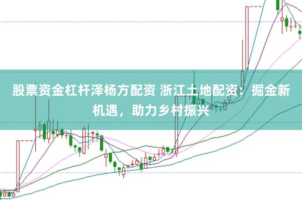 股票资金杠杆泽杨方配资 浙江土地配资：掘金新机遇，助力乡村振兴