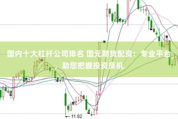 国内十大杠杆公司排名 国元期货配资：专业平台，助您把握投资良机