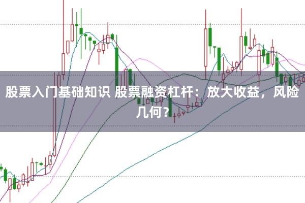 股票入门基础知识 股票融资杠杆：放大收益，风险几何？