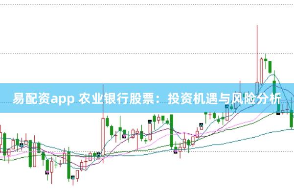 易配资app 农业银行股票：投资机遇与风险分析