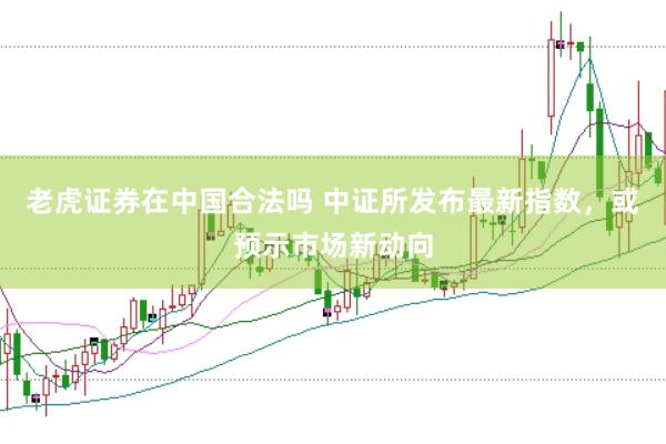 老虎证券在中国合法吗 中证所发布最新指数，或预示市场新动向
