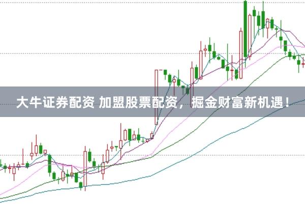 大牛证券配资 加盟股票配资，掘金财富新机遇！