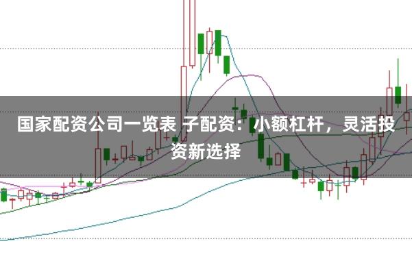 国家配资公司一览表 子配资：小额杠杆，灵活投资新选择