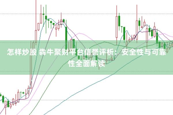 怎样炒股 犇牛聚财平台信誉评析：安全性与可靠性全面解读
