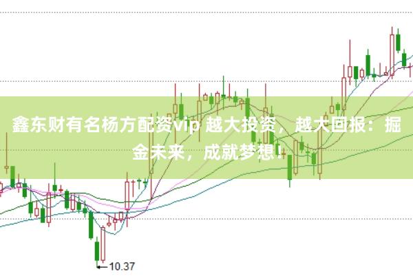 鑫东财有名杨方配资vip 越大投资，越大回报：掘金未来，成就梦想！