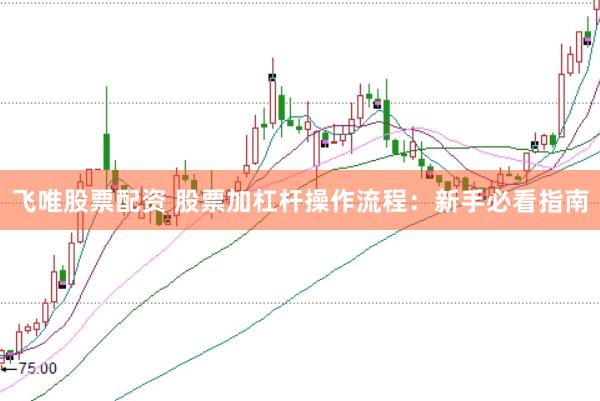 飞唯股票配资 股票加杠杆操作流程：新手必看指南