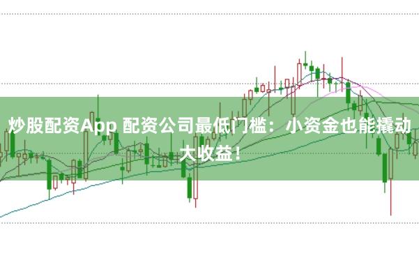 炒股配资App 配资公司最低门槛：小资金也能撬动大收益！