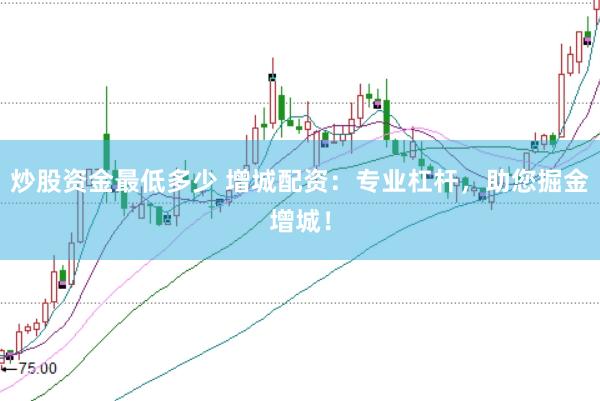 炒股资金最低多少 增城配资：专业杠杆，助您掘金增城！