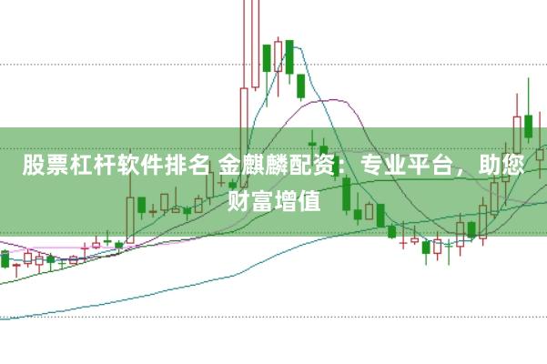 股票杠杆软件排名 金麒麟配资：专业平台，助您财富增值