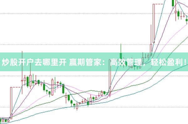炒股开户去哪里开 赢期管家：高效管理，轻松盈利！