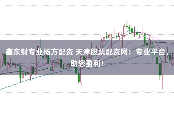 鑫东财专业杨方配资 天津股票配资网:专业平台,助您盈利!